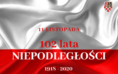 Zdjęcie do Narodowe Święto Niepodległości
